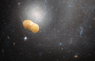 Illustration for article titled "Space Sushi" Is The New Meme You Never Realized You Were Waiting For